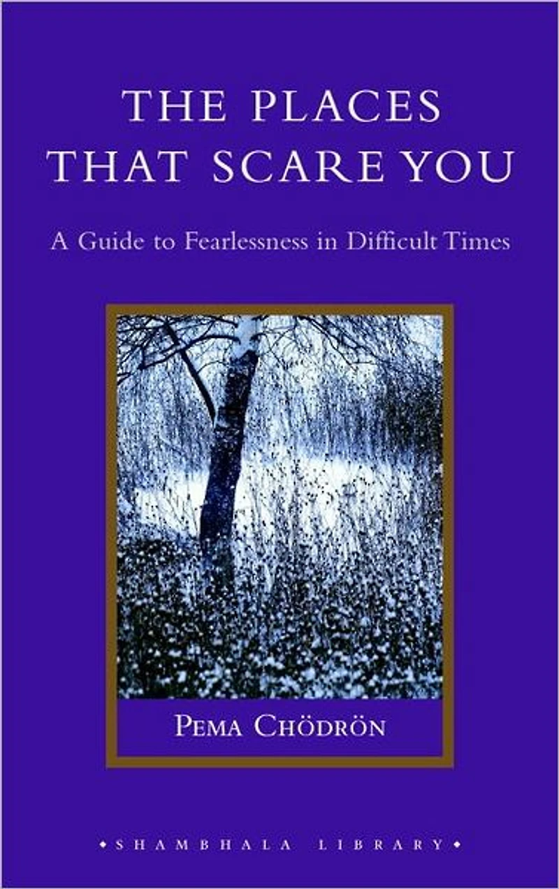 The Places That Scare You: A Guide to Fearlessness Difficult Times