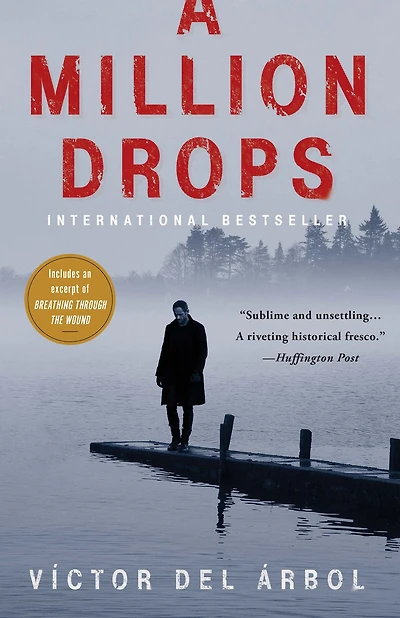 A Million Drops: Novel