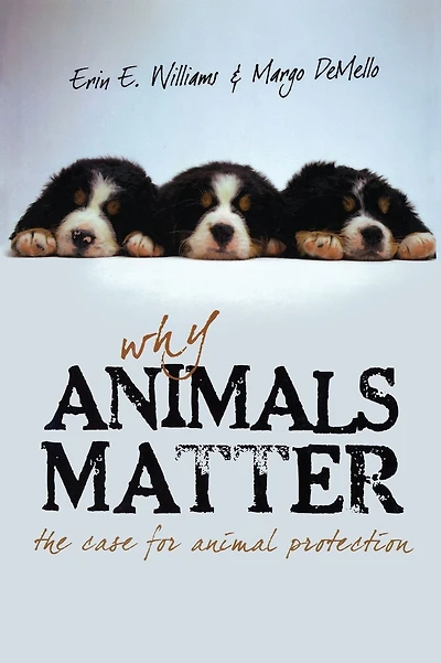 Why Animals Matter: The Case for Animal Protection