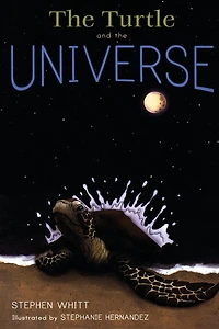 Turtle and the Universe
