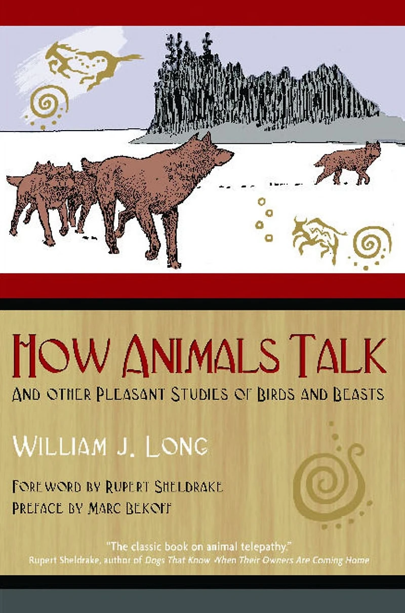 How Animals Talk: and Other Pleasant Studies of Birds Beasts