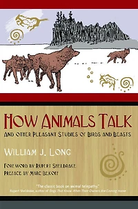How Animals Talk: and Other Pleasant Studies of Birds Beasts