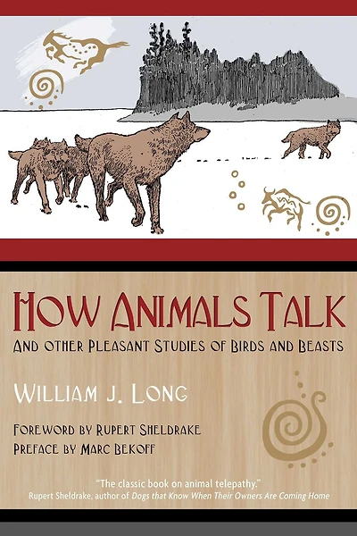 How Animals Talk: and Other Pleasant Studies of Birds Beasts