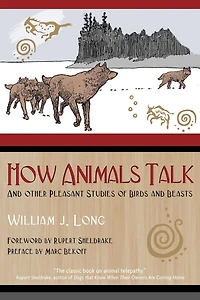 How Animals Talk: and Other Pleasant Studies of Birds Beasts