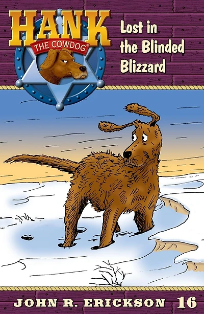 Lost the Blinded Blizzard