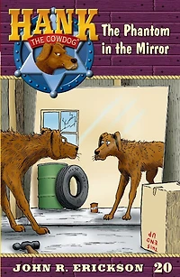 the Phantom Mirror