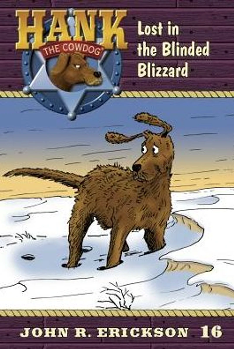 Lost the Blinded Blizzard