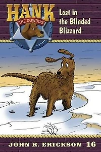 Lost the Blinded Blizzard