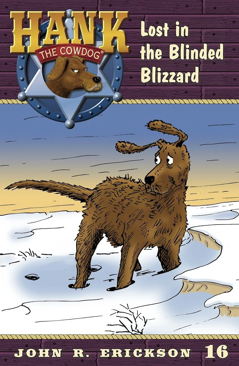 Lost the Blinded Blizzard