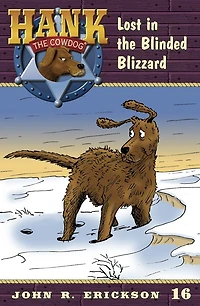 Lost the Blinded Blizzard
