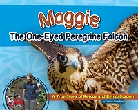 Maggie the One-Eyed Peregrine Falcon: A True Story of Rescue and Rehabilitation