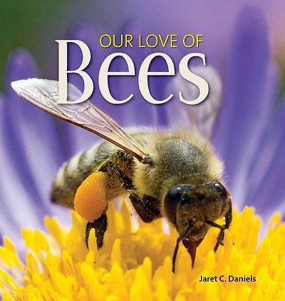 Our Love of Bees
