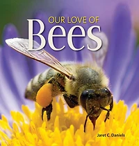 Our Love of Bees