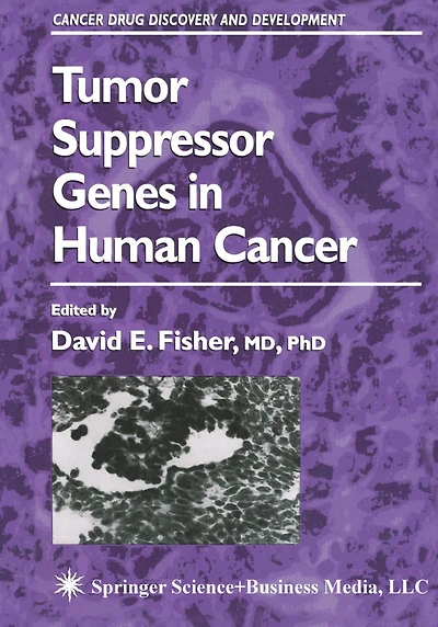 Tumor Suppressor Genes Human Cancer