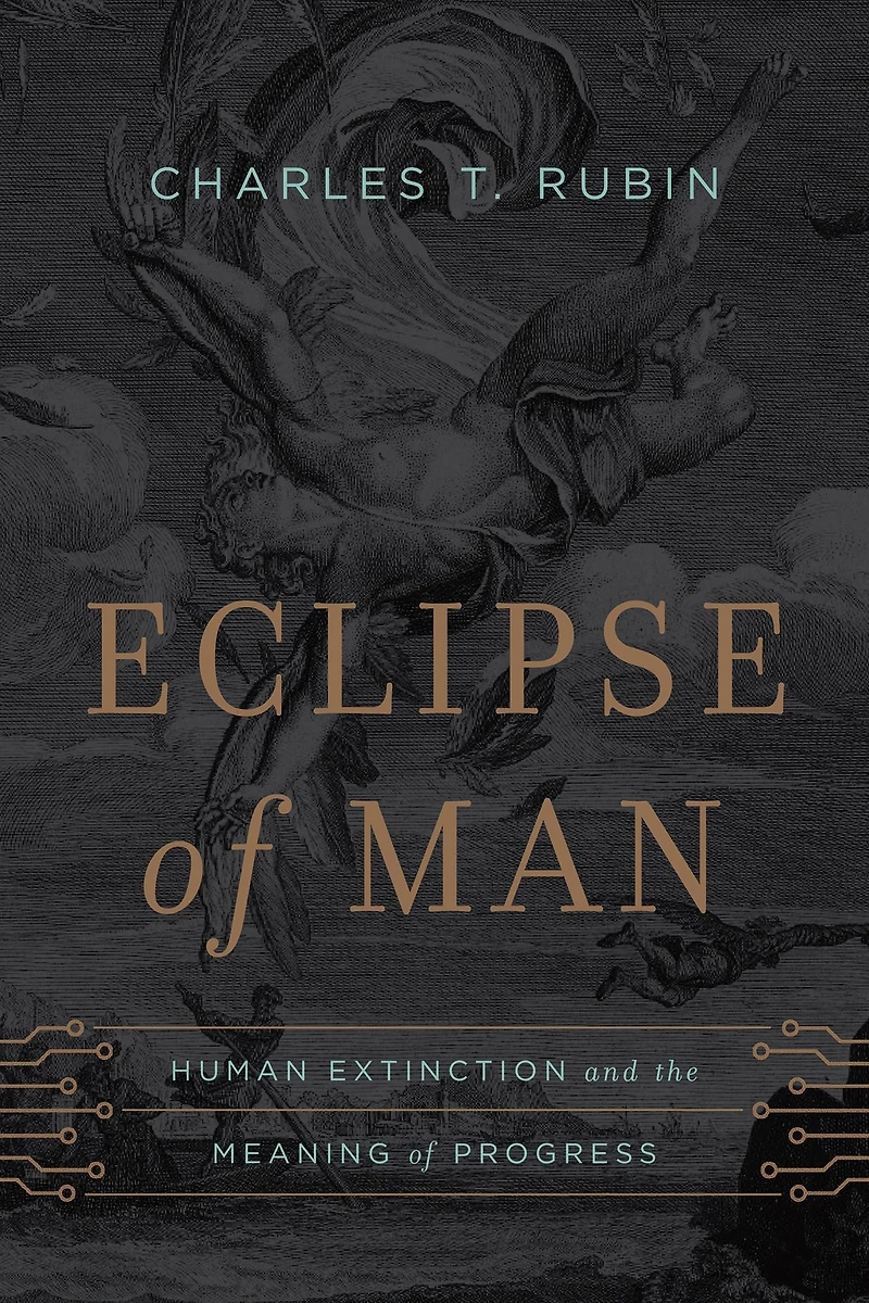 Eclipse of Man: Human Extinction and the Meaning Progress