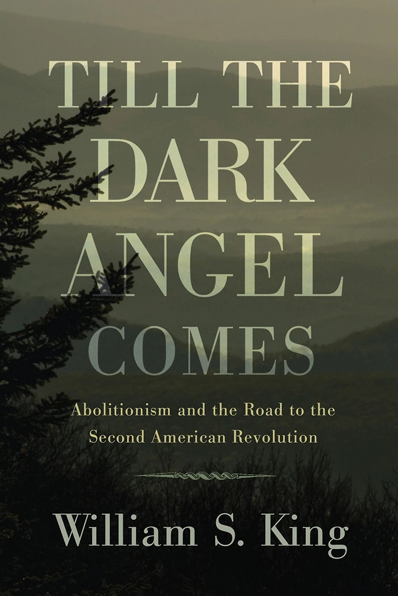 Till the Dark Angel Comes: Abolitionism and Road to Second American Revolution