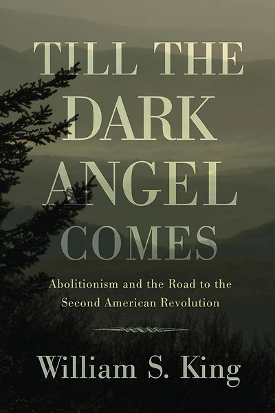 Till the Dark Angel Comes: Abolitionism and Road to Second American Revolution