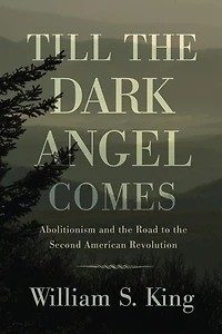 Till the Dark Angel Comes: Abolitionism and Road to Second American Revolution