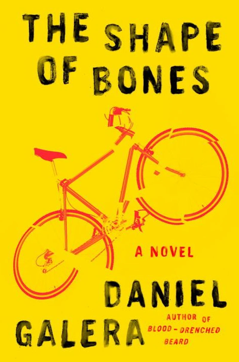 The Shape of Bones: A Novel