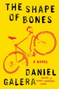 The Shape of Bones: A Novel