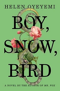 Boy, Snow, Bird