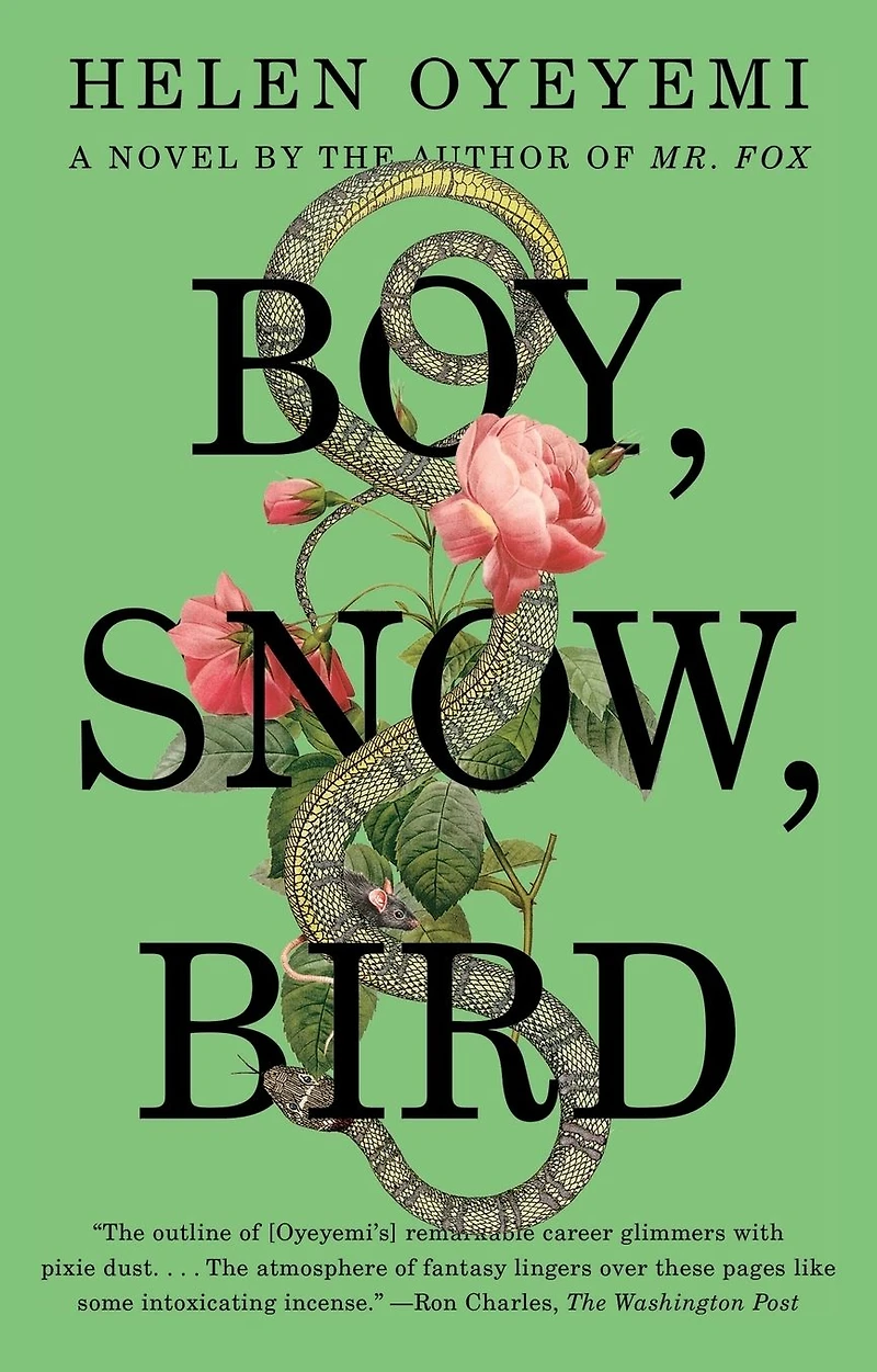 Boy, Snow, Bird