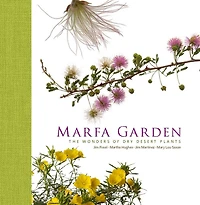 Marfa Garden: The Wonders of Dry Desert Plants