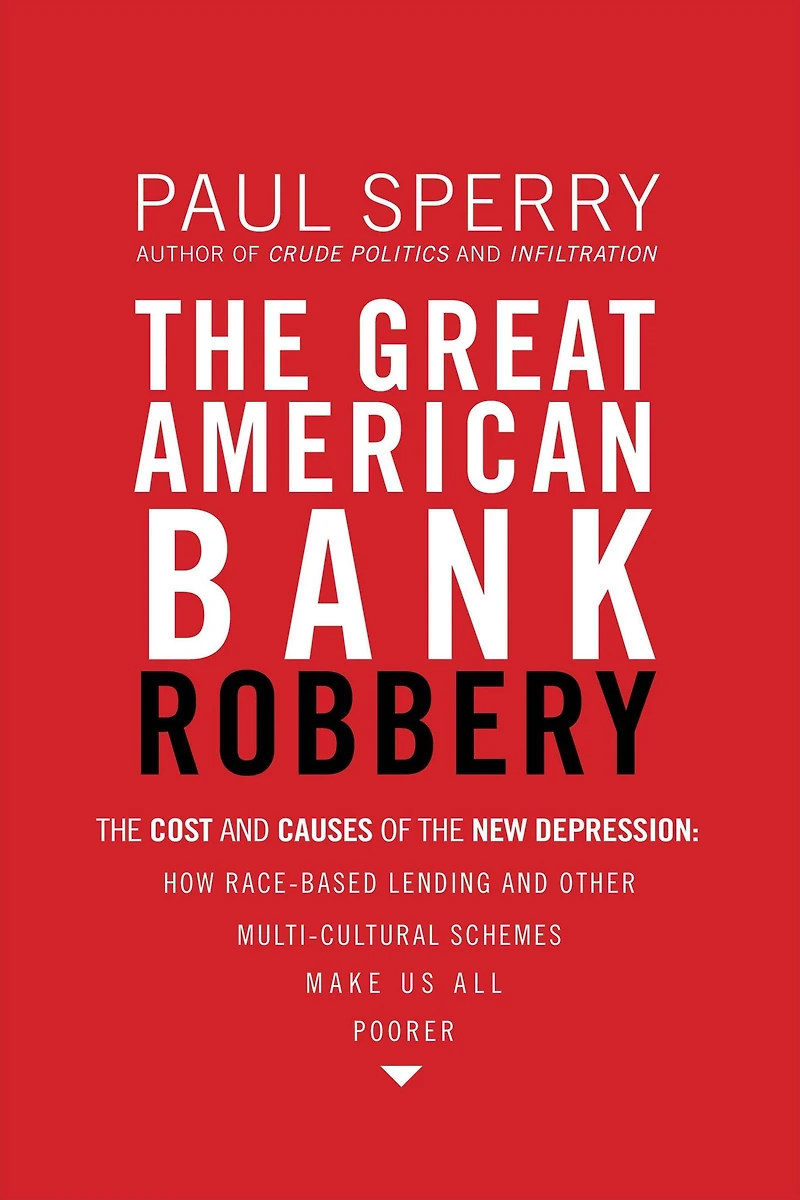 the Great American Bank Robbery: Unauthorized Report About What Really Caused Recession