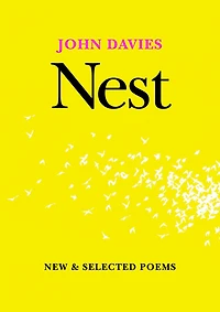 Nest: New and Selected Poems