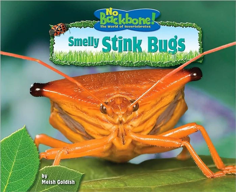 Smelly Stink Bugs