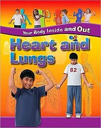 Heart and Lungs