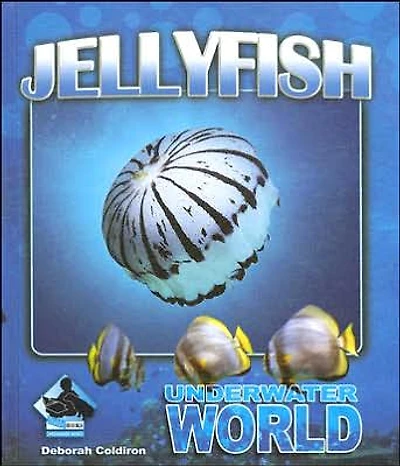 Jellyfish