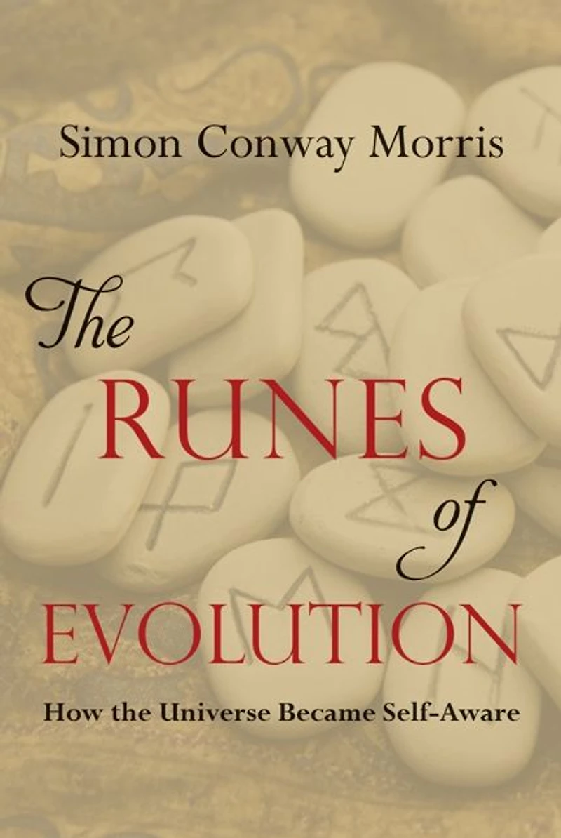 the Runes of Evolution: How Universe became Self-Aware