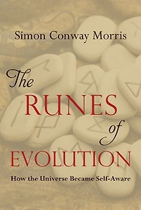 the Runes of Evolution: How Universe became Self-Aware