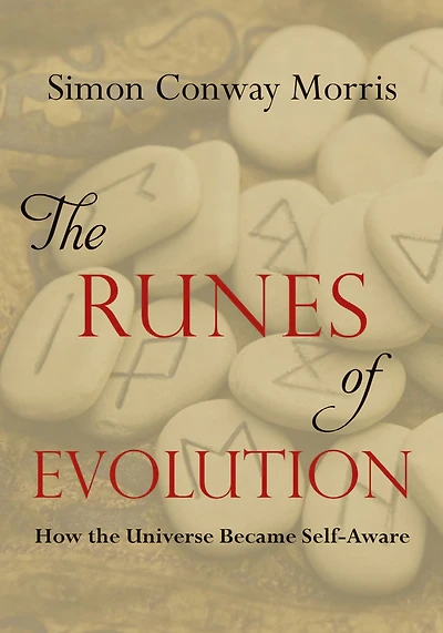 the Runes of Evolution: How Universe became Self-Aware