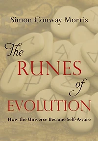 the Runes of Evolution: How Universe became Self-Aware
