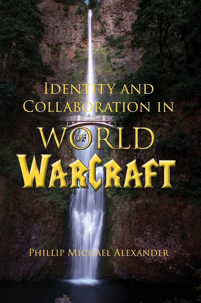 Identity and Collaboration World of Warcraft