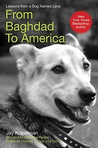 from Baghdad to America: Life Lessons a Dog Named Lava