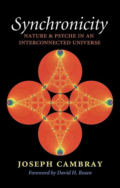 Synchronicity: Nature and Psyche an Interconnected Universe