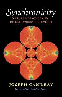 Synchronicity: Nature and Psyche an Interconnected Universe