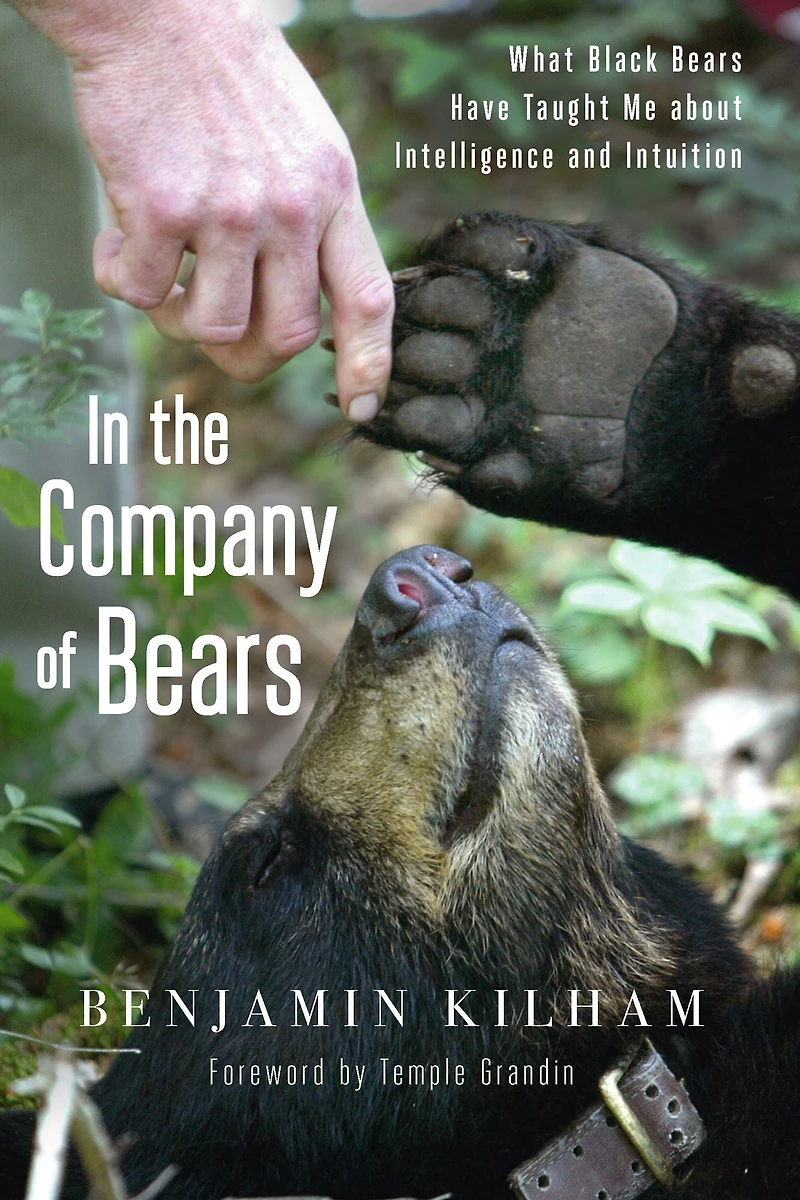 the Company of Bears: What Black Bears Have Taught Me about Intelligence and Intuition