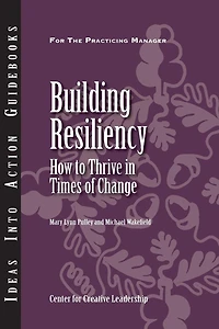Building Resiliency: How to Thrive Times of Change