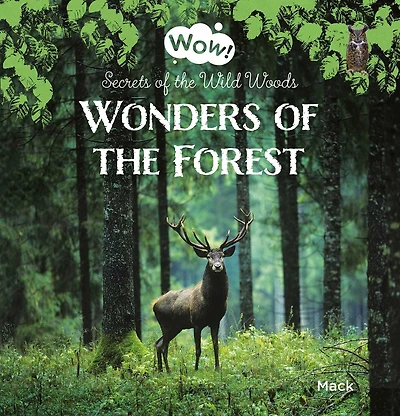 Wonders of the Forest: Secrets of the Wild Woods
