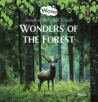 Wonders of the Forest: Secrets of the Wild Woods