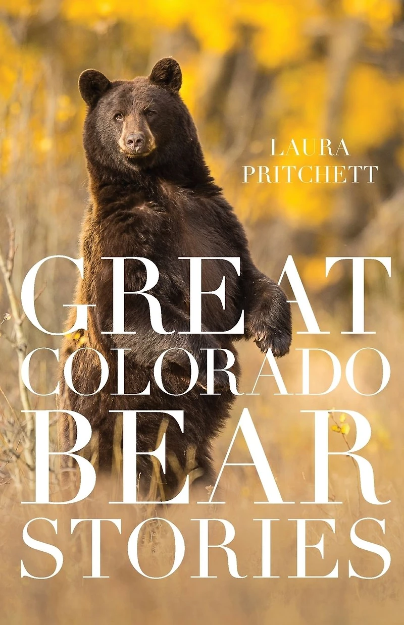 Great Colorado Bear Stories