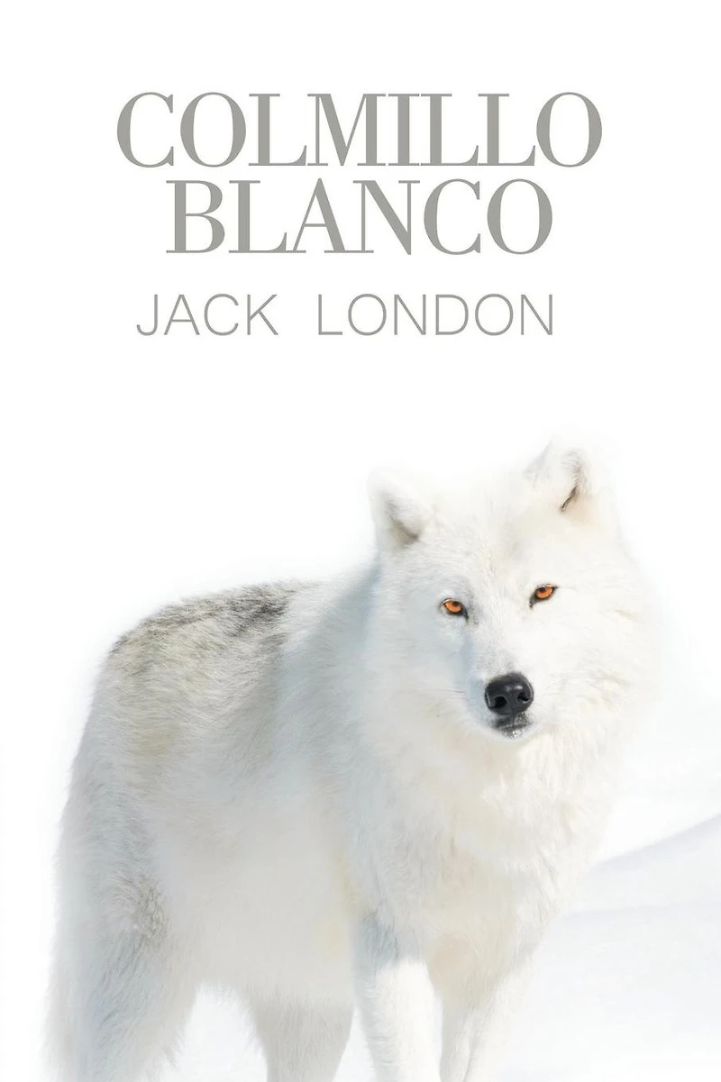 Colmillo blanco