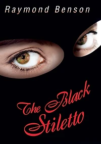 The Black Stiletto: First Diary