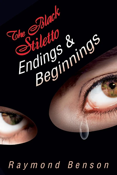 The Black Stiletto: Endings & Beginnings: The Fifth Diary