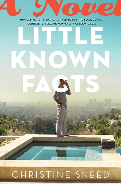 Little Known Facts: A Novel