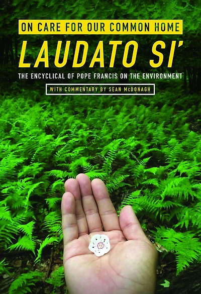 On Care for Our Common Home, Laudato Si': The Encyclical of Pope Francis on the Environment